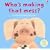 Who's Making That Mess? (Lift-the-flap)