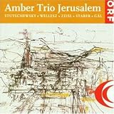 Finale Quasi Una Fantasia - Amber Trio Jerusalem