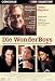 DVD : Die Wonder Boys
