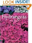 Hydrangeas