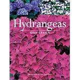 Hydrangeas