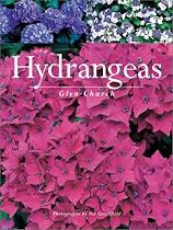 Hydrangeas