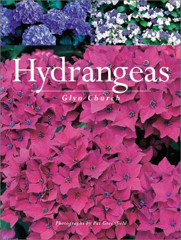 Hydrangeas