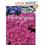 Hydrangeas