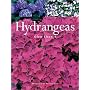 Hydrangeas