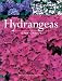 Hydrangeas