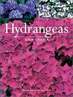 Hydrangeas