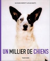Un millier de chiens