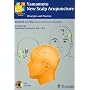 Yamamoto New Scalp Acupuncture: Principles and Practice