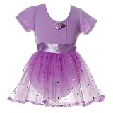 Toddler Little Girls Clothes Dance LAVENDER Leotard Tutu Set REFLECTIONZ 2-6