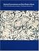 Abstract Expressionism and Other Modern Works: The Muriel Kallis Steinberg Newman Collection in the Metropolitan Museum of Art (Metropolitan Museum of Art Publications)