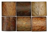 Uttermost 13355 10-Inch by 10-Inch Klum Collage Metal Wall Art, Set of 6