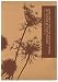 Eco-Friendly Diary Journal Nature Quote on Recycled Leather, Lined, 5 "x 7"