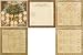 Ancestry Flat Papr12-Pedigree
