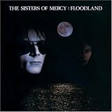 Floodland