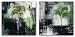 Palma III-IV Set by Ivan Reyes 12"x12" Art Print Poster Latin