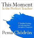 This Moment Is the Perfect Teacher: Ten Buddhist Teachings on Cultivating Inner Strength and Compassion