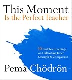 This Moment Is the Perfect Teacher: Ten Buddhist Teachings on Cultivating Inner Strength and Compassion