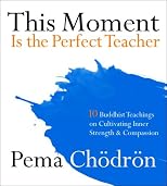 This Moment Is the Perfect Teacher: Ten Buddhist Teachings on Cultivating Inner Strength and Compassion
