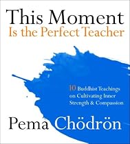 This Moment Is the Perfect Teacher: Ten Buddhist Teachings on Cultivating Inner Strength and Compassion
