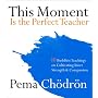 This Moment Is the Perfect Teacher: Ten Buddhist Teachings on Cultivating Inner Strength and Compassion