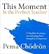 This Moment Is the Perfect Teacher: Ten Buddhist Teachings on Cultivating Inner Strength and Compassion