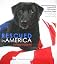 Rescued in America (The Photo Book Projects, Volume 2)