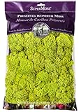 SuperMoss (21669) Reindeer Moss Preserved, Chartreuse, 8oz (200 Cubic Inch)