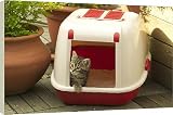 Box Canvas Print of CAT - Tabby Kitten in litter tray from Ardea