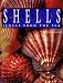 Book Shells: Jewels from the Sea