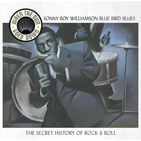 Bluebird Blues - When The Sun Goes Down Series