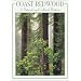 Coast Redwood: A Natural and Cultural History