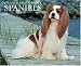 Book Just Cavalier King Charles 2006 16-Month Wall Calendar