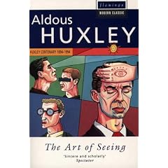 The Art of Seeing (Flamingo Modern Classics)