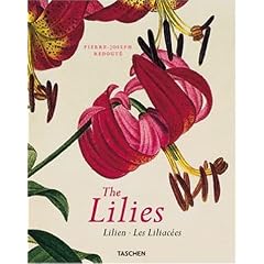 The Lilies