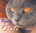 Regards de