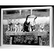 The Nice Card Company Meow 500 Piece Jigsaw Puzzle