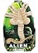 Alien - Bendable Plush Replica : Alien Face Hugger_s-1