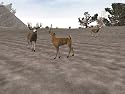 Buckmasters Deer Hunting