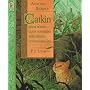 Catkin