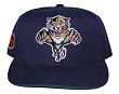 NHL Hat - Florida Panthers