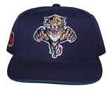 NHL Florida Panthers Hockey Hat