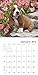 Puppies Wall Calendar (2016)