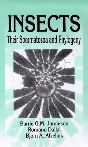 insects their spermatozoa and phylogeny
