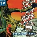 Cold Blue Torch