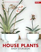 House Plants
