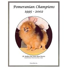 Pomeranian Champions, 1995-2002