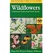 Edible and Medicinal Wild Plants