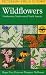 A Field Guide to Wildflowers : Northeastern and North-Central North America (Peterson Field Guides)