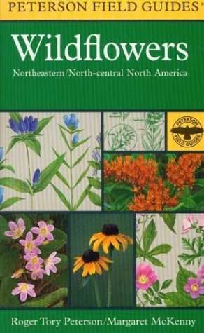 A Field Guide to Wildflowers Northeastern and North Central North America